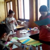 Centrul Social Multifuncţional Alba Iulia